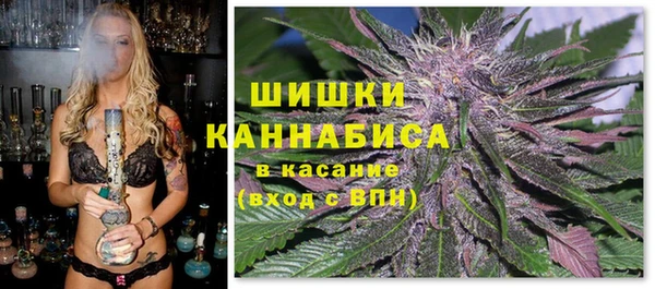 первитин Заводоуковск