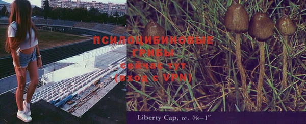 трава Заволжье