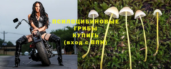 первитин Заводоуковск