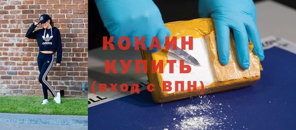 дживик Болотное