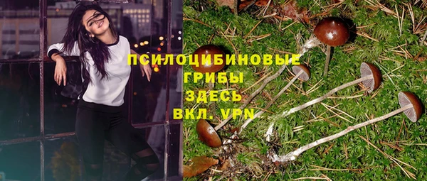 трава Заволжье